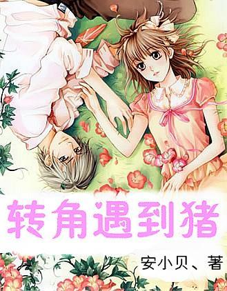 公主换装养成日记